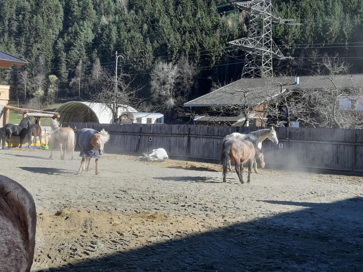 B&B Margit'S Ranch Urlaub Am Pferdehof Silz Dış mekan fotoğraf
